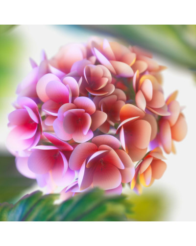 Perfume Hombre Tommy Hilfiger TOMMY NOW 100 ml