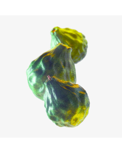 Perfume Hombre Tommy Hilfiger TOMMY NOW 100 ml