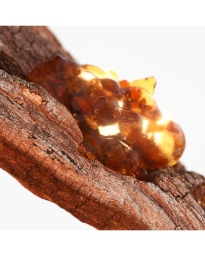 Perfume Hombre Tommy Hilfiger TOMMY NOW 100 ml