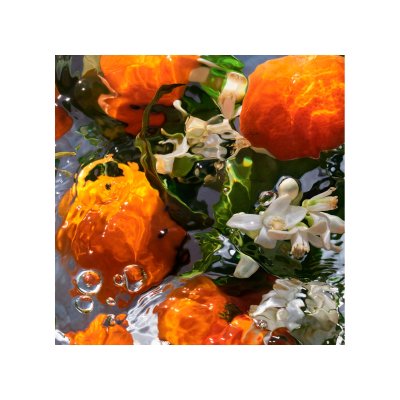 Aqua Allegoria Mandarine Basilic eau de toilette vaporizador 75 ml