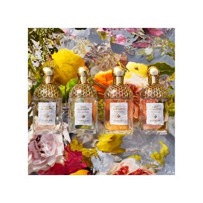 Aqua Allegoria Mandarine Basilic eau de toilette vaporizador 75 ml