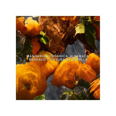 Aqua Allegoria Mandarine Basilic eau de parfum vaporizador 125 ml