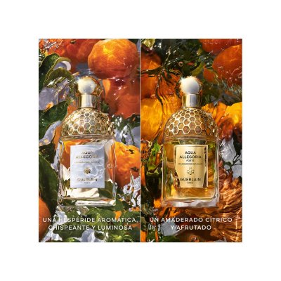 Aqua Allegoria Mandarine Basilic eau de parfum vaporizador 125 ml