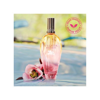 Brisa Cubana edt vapo ed. lim. 100 ml