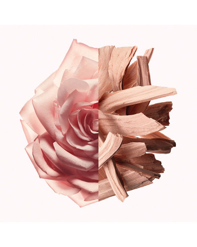 Perfume Mujer Givenchy IRRESISTIBLE NUDE VELVET EDP 35 ml