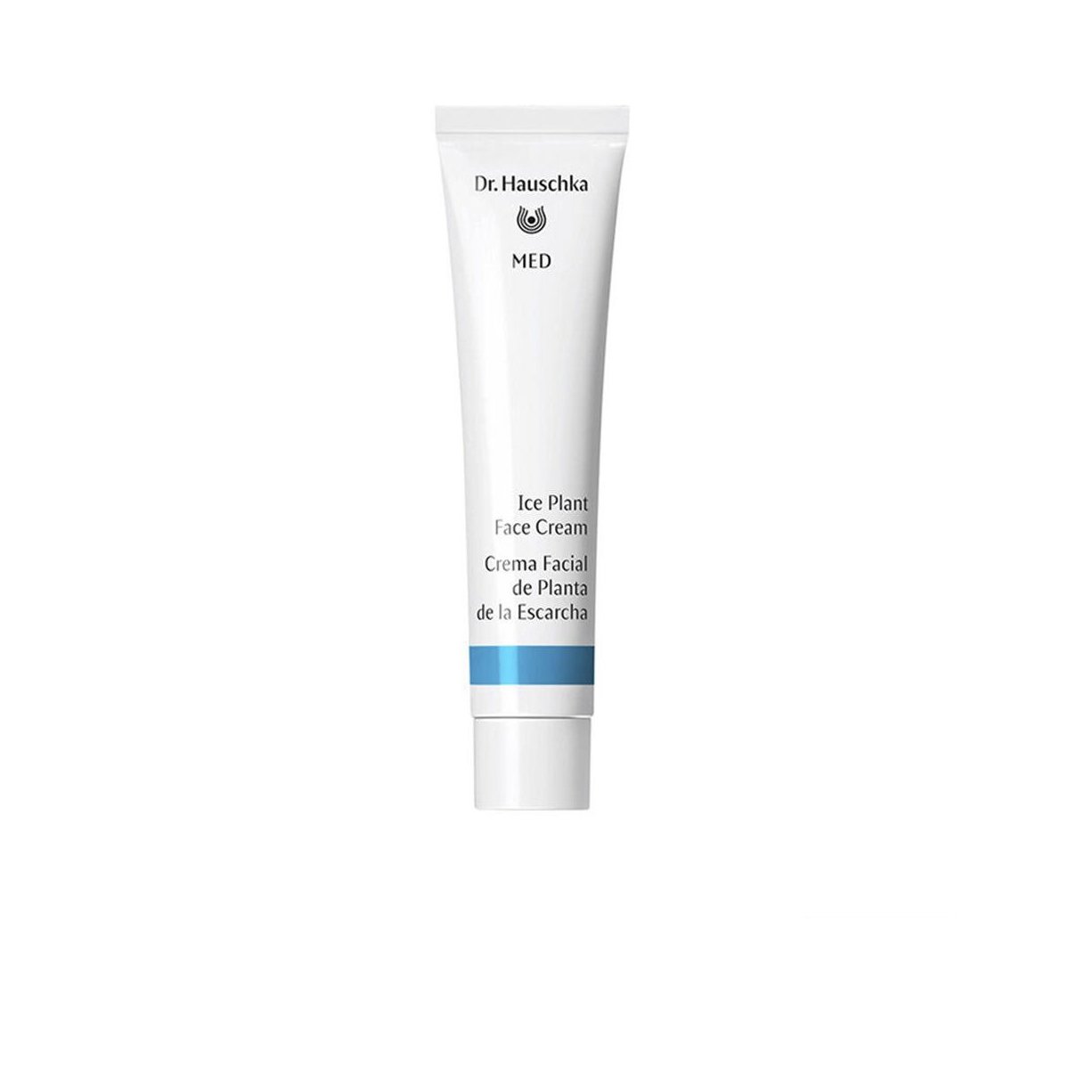 Crema facial de planta de la escarcga 40 ml